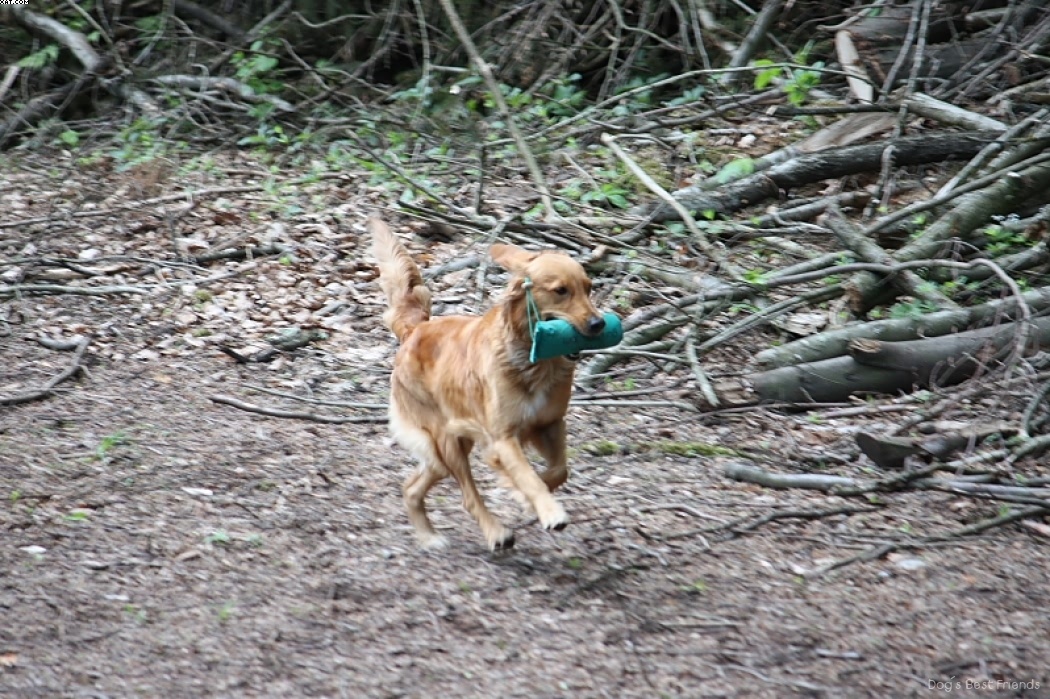 Img 1242909212 987 lg opt