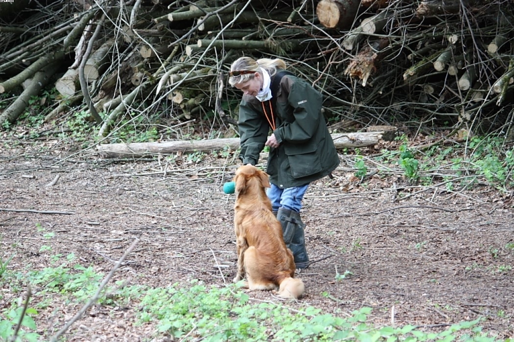 Img 1242909258 169 lg opt