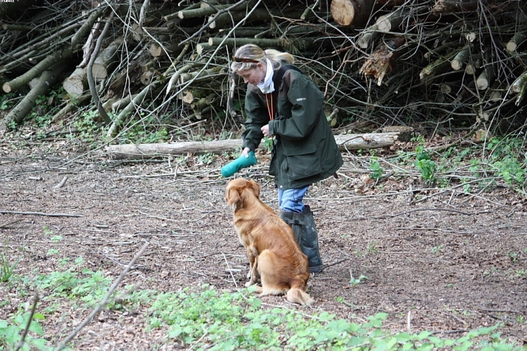 Img 1242909307 711 lg opt