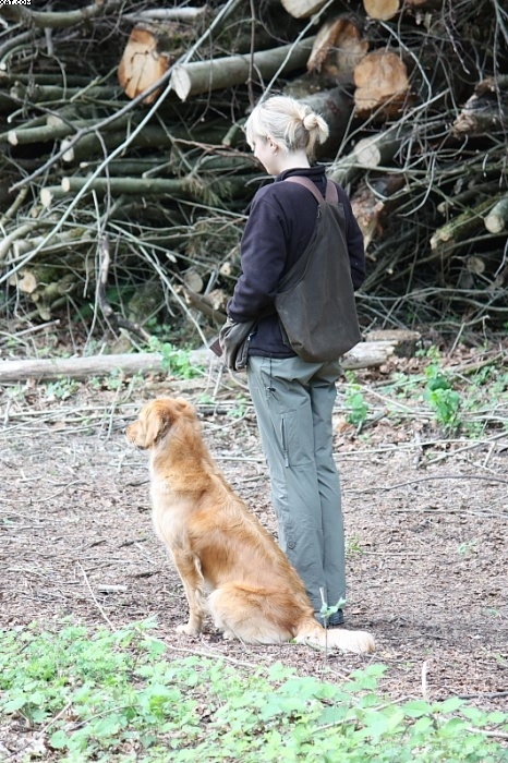 Img 1242909357 80 lg opt