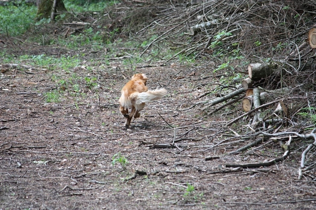 Img 1242909410 754 lg opt