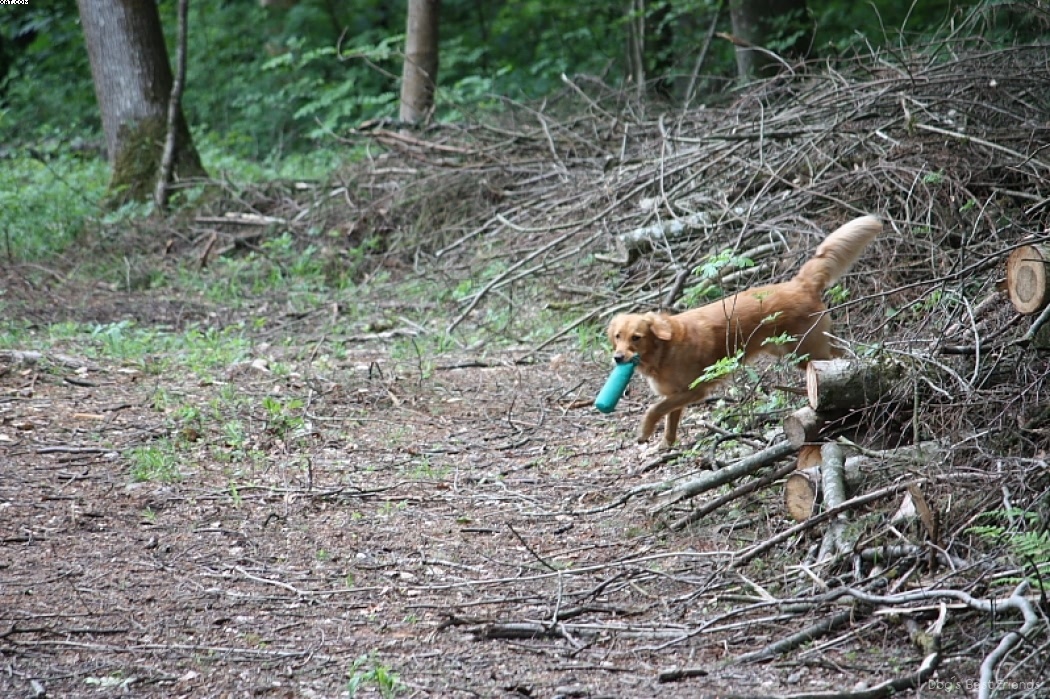 Img 1242909506 260 lg opt