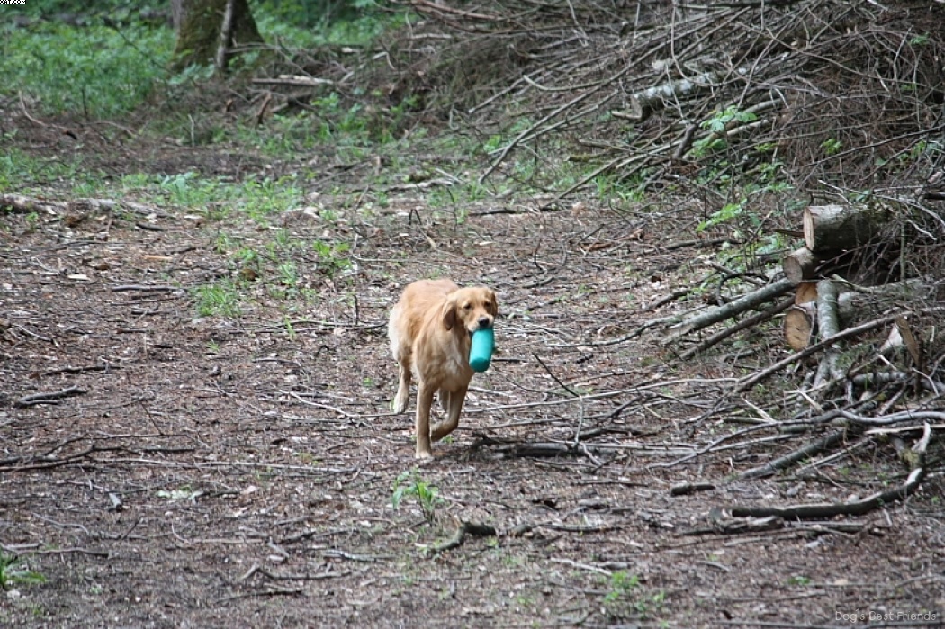 Img 1242909553 709 lg opt