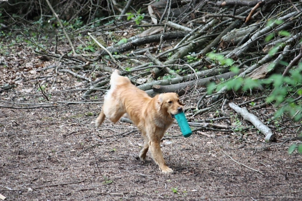 Img 1242909645 248 lg opt