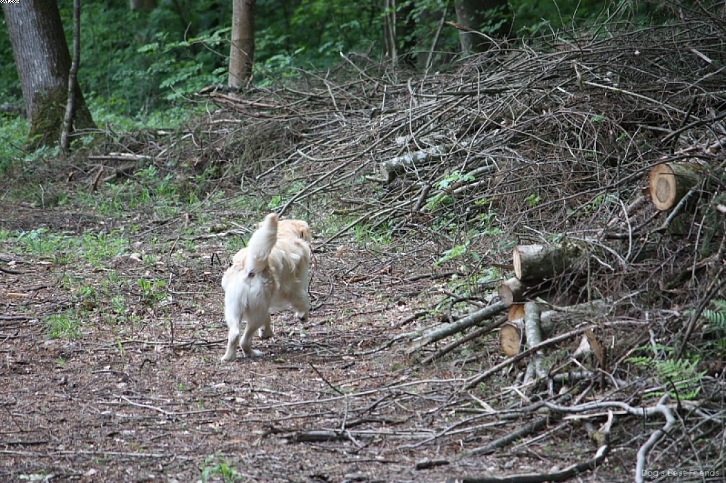 Img 1242909876 24 lg opt