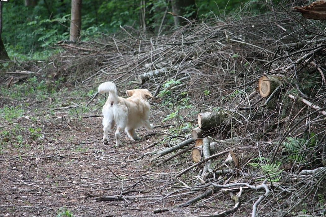 Img 1242909929 312 lg opt