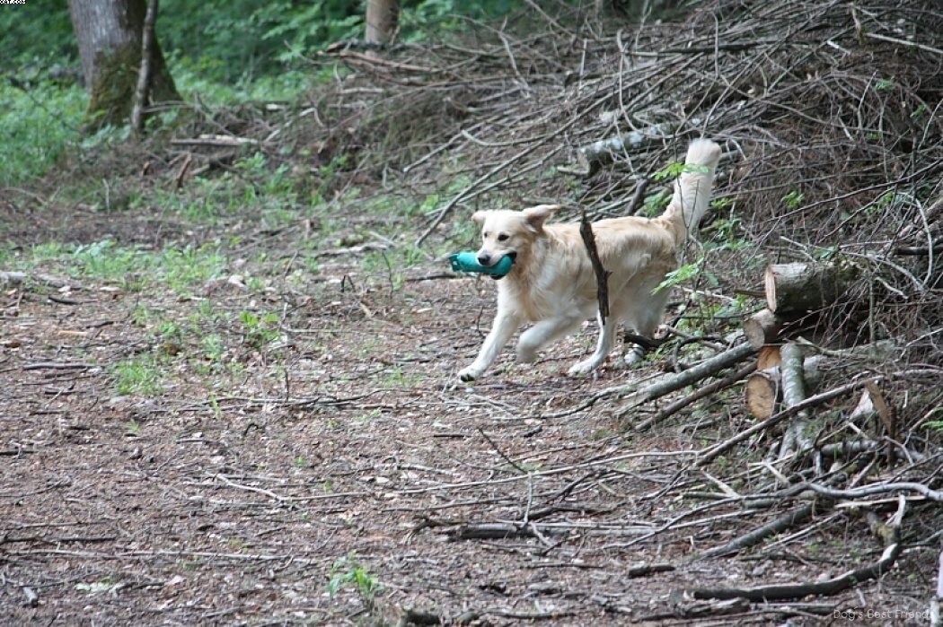 Img 1242909983 826 lg opt