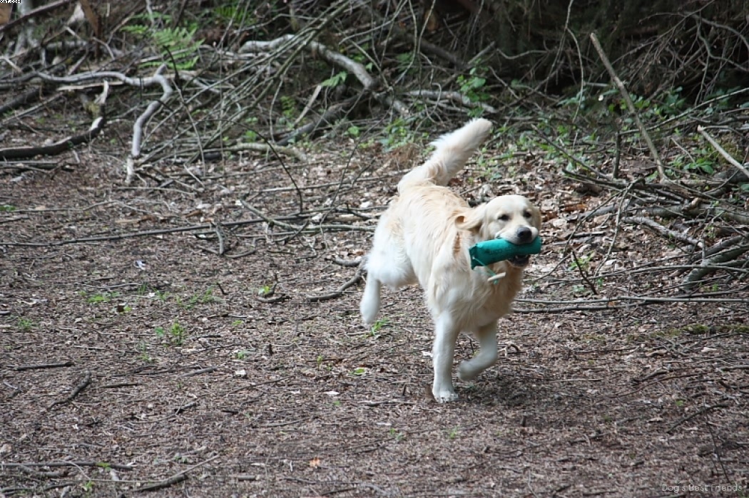 Img 1242910120 143 lg opt