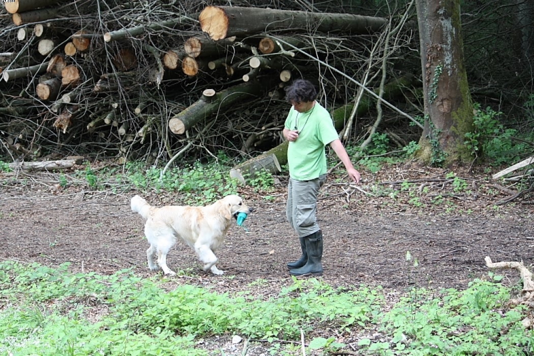 Img 1242910170 260 lg opt