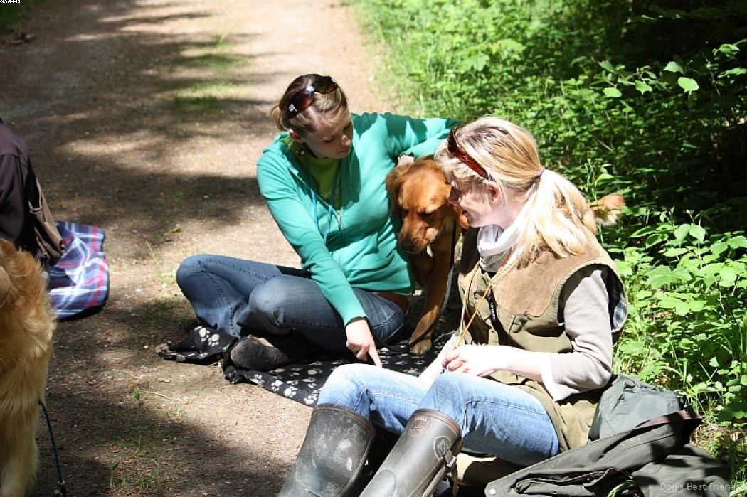 Img 1242910268 707 lg opt