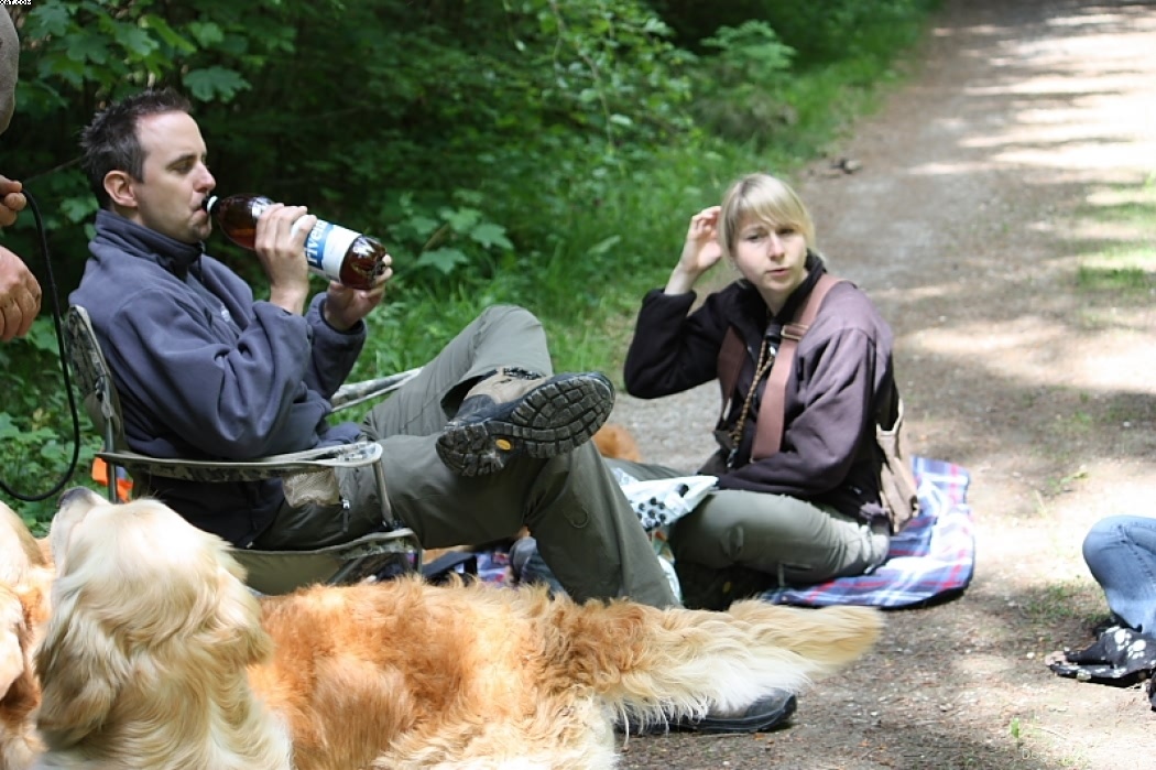 Img 1242910307 505 lg opt