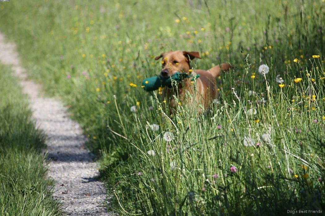 Img 1242910469 324 lg opt