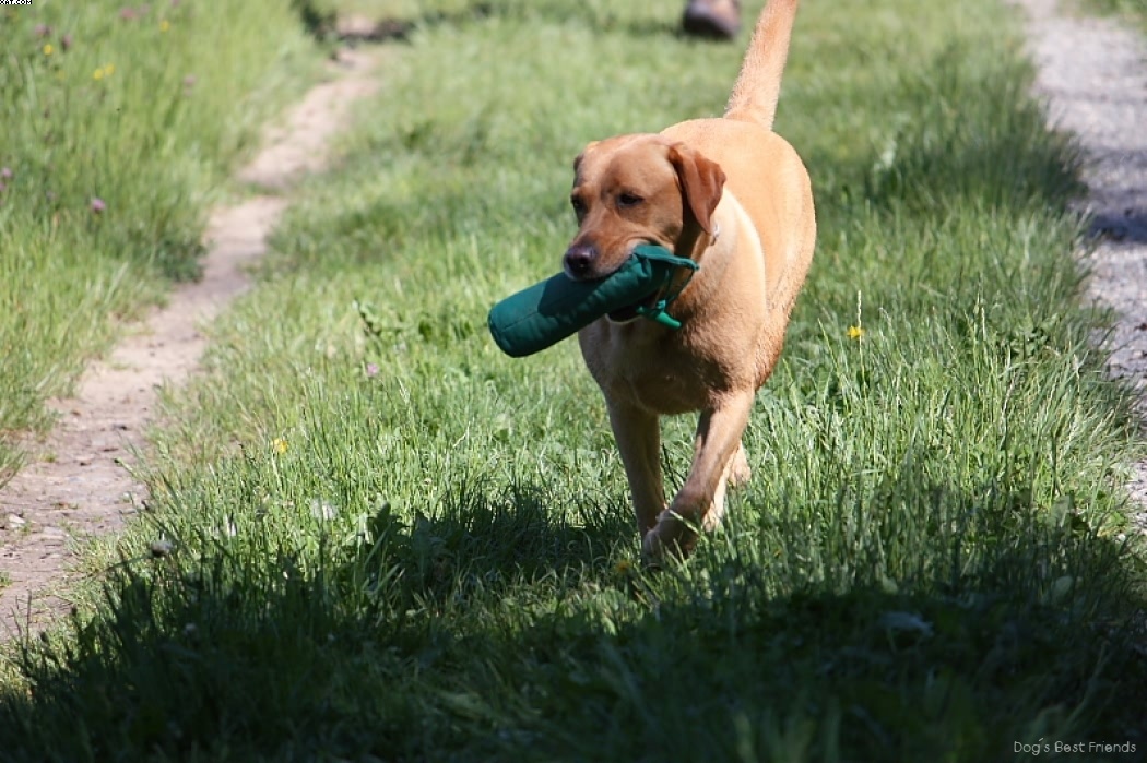 Img 1242910503 3 lg opt