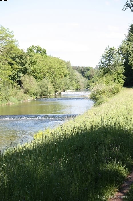 Img 1242910536 311 lg opt