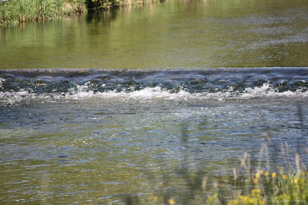 Img 1242910576 440 lg opt