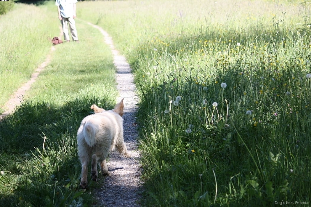 Img 1242910691 634 lg opt