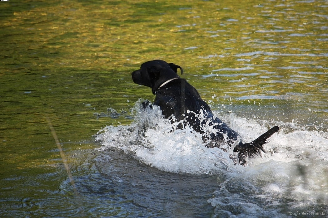 Img 1242910880 623 lg opt