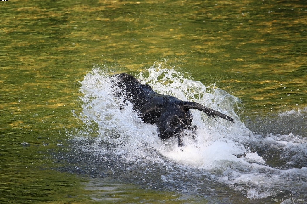 Img 1242910920 639 lg opt