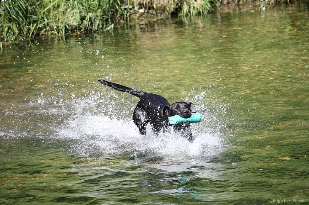 Img 1242911002 320 lg opt