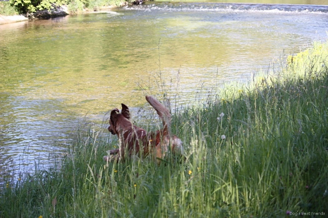 Img 1242911038 702 lg opt