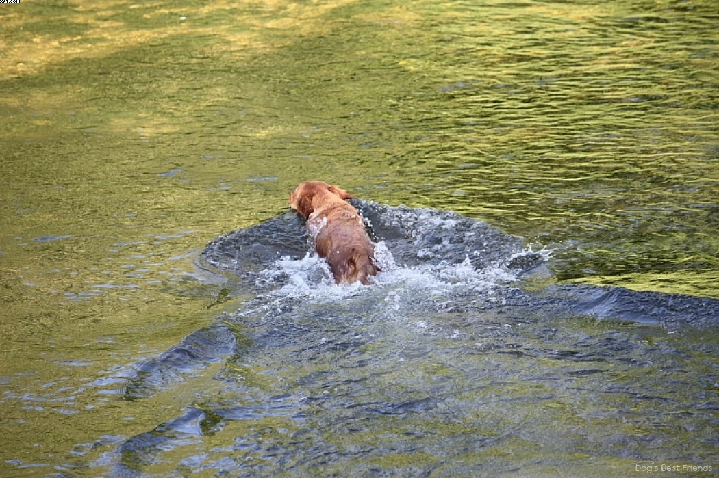 Img 1242911121 676 lg opt