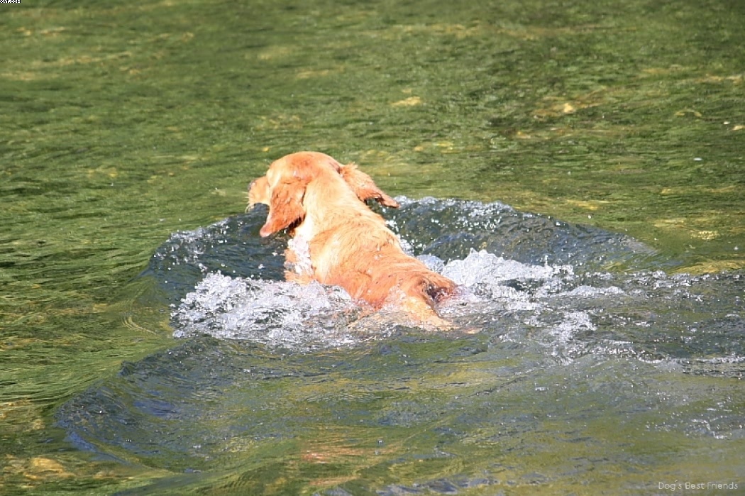 Img 1242911159 433 lg opt