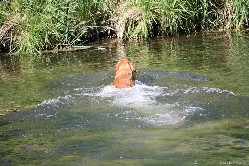 Img 1242911199 122 lg opt