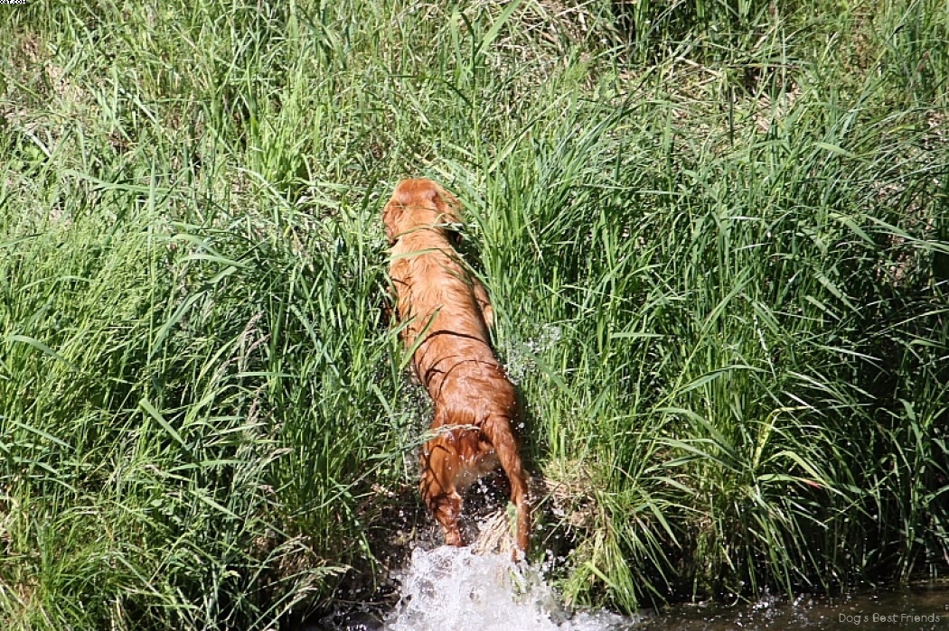 Img 1242911254 219 lg opt