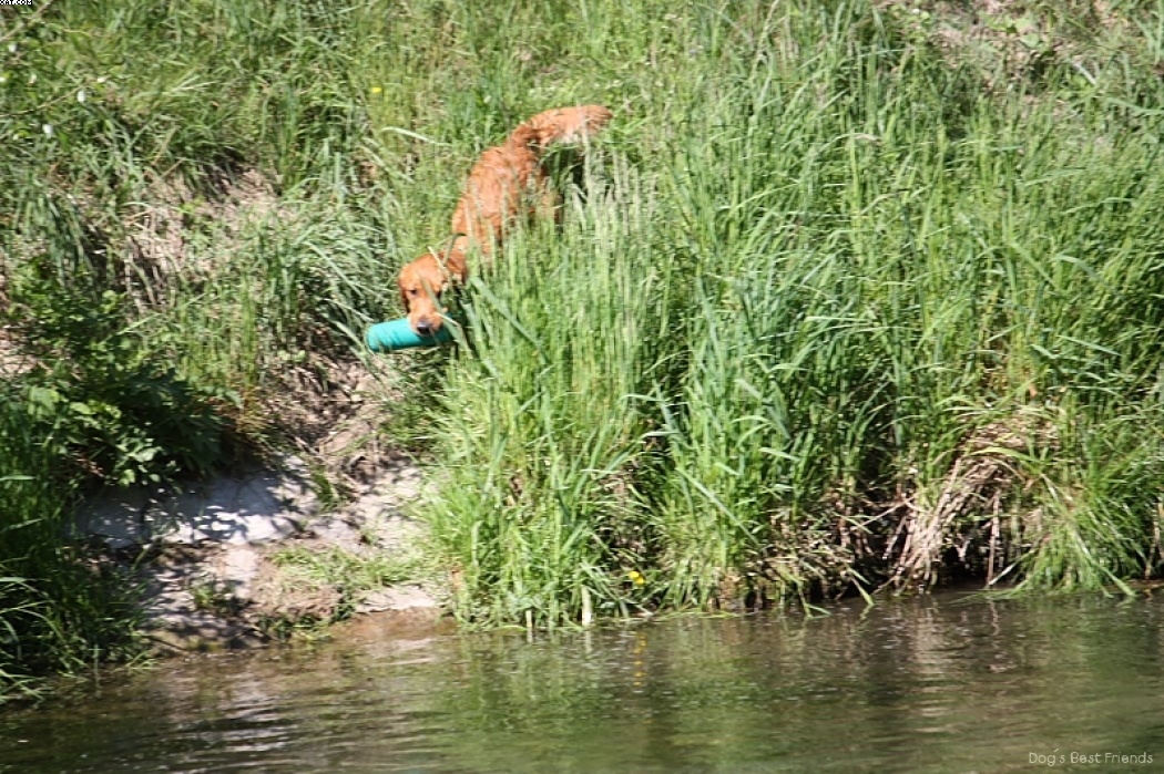 Img 1242911297 949 lg opt