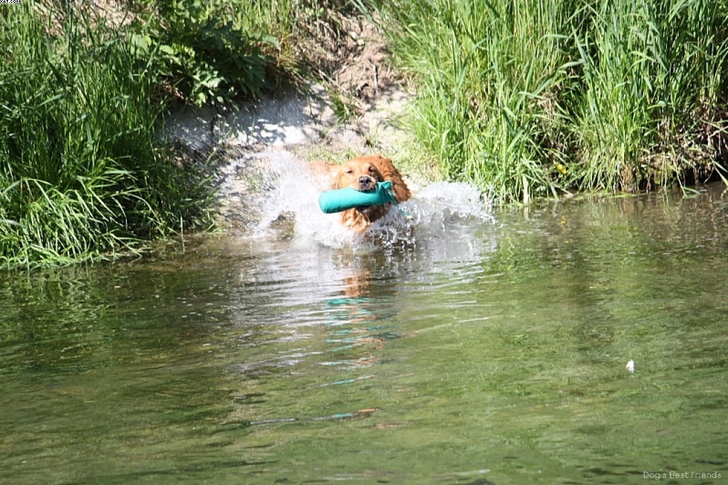 Img 1242911340 216 lg opt