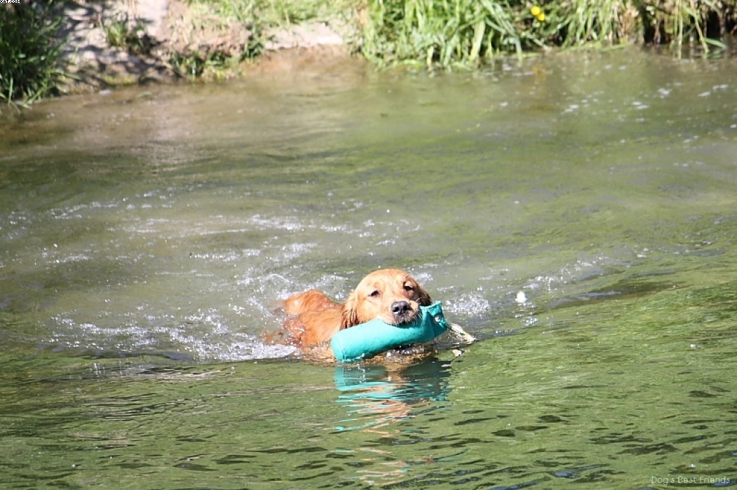 Img 1242911374 808 lg opt