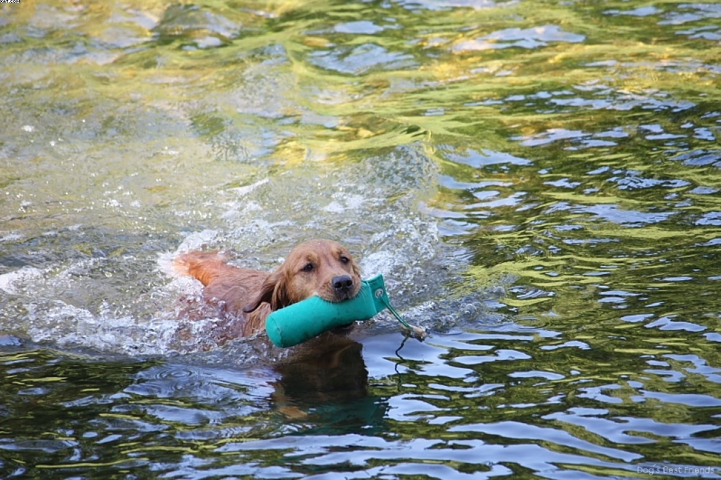 Img 1242911501 112 lg opt