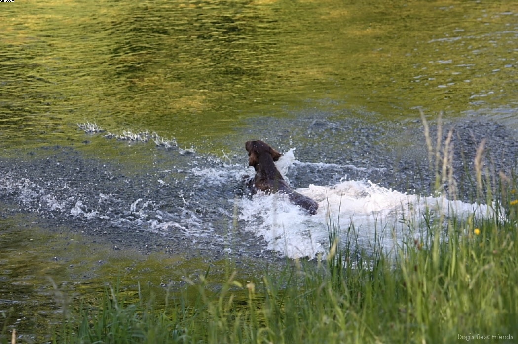 Img 1242911667 886 lg opt