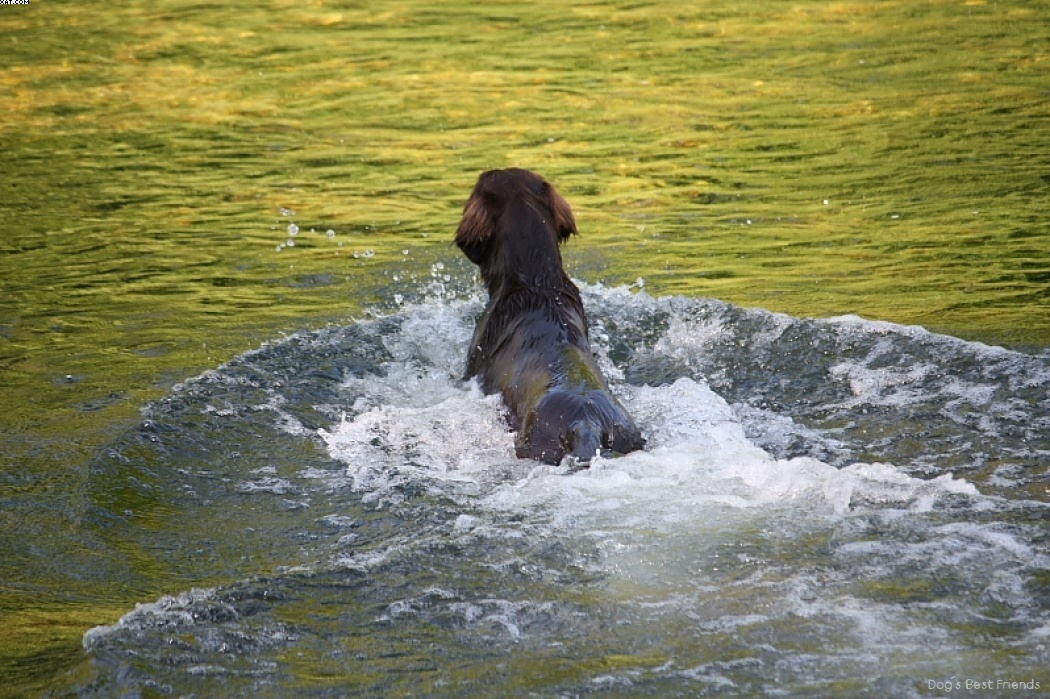 Img 1242911748 833 lg opt