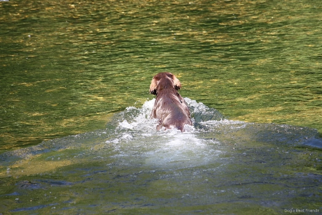 Img 1242911784 294 lg opt