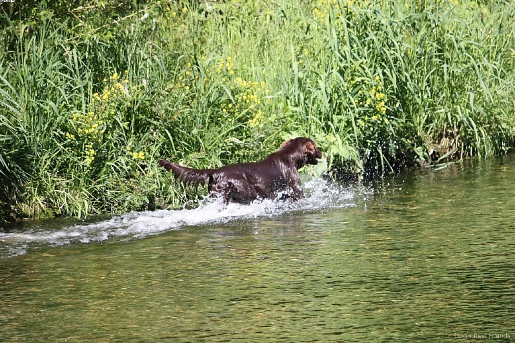 Img 1242911834 141 lg opt