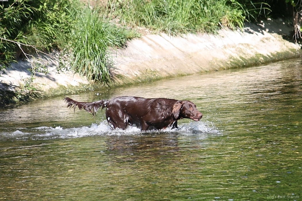 Img 1242911878 75 lg opt