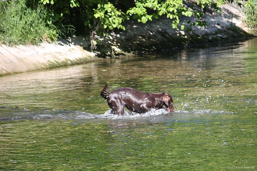 Img 1242911919 853 lg opt