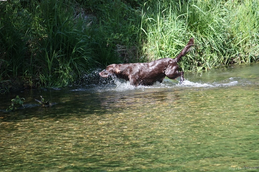 Img 1242911960 820 lg opt