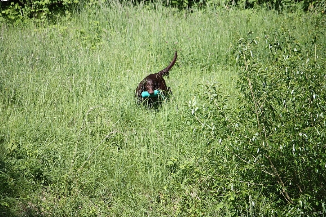 Img 1242912010 776 lg opt