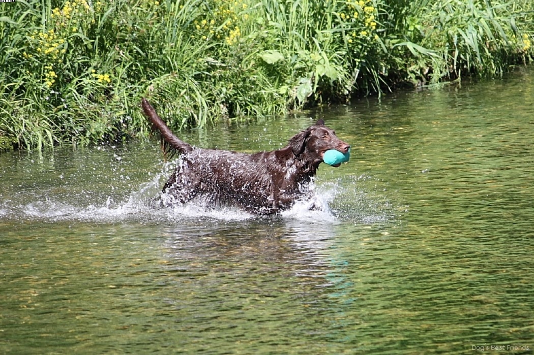 Img 1242912150 674 lg opt