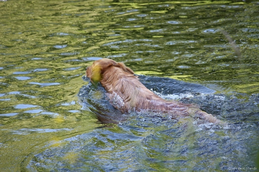 Img 1242912398 599 lg opt