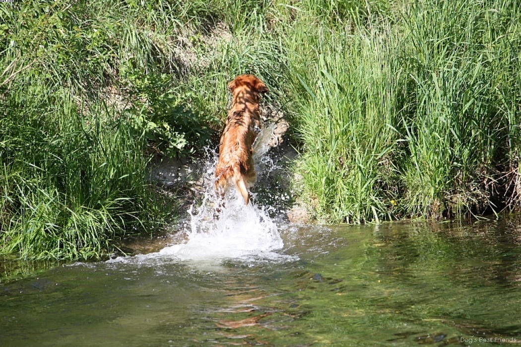 Img 1242912563 507 lg opt