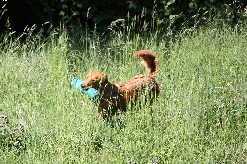 Img 1242912619 227 lg opt