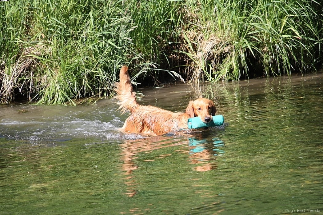 Img 1242912817 199 lg opt