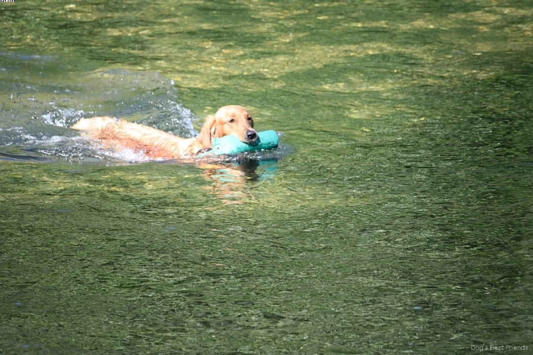 Img 1242912897 842 lg opt