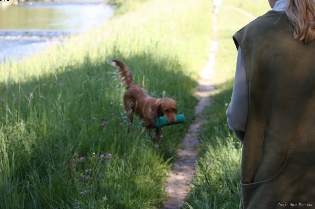 Img 1242912924 342 lg opt