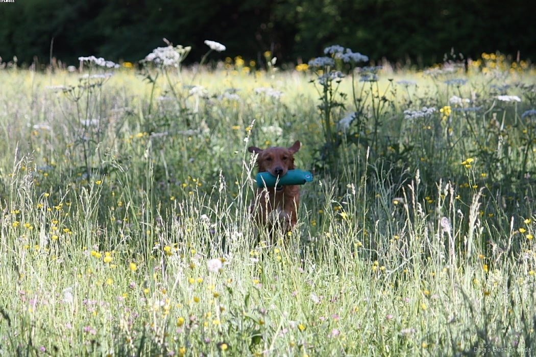 Img 1242912969 238 lg opt