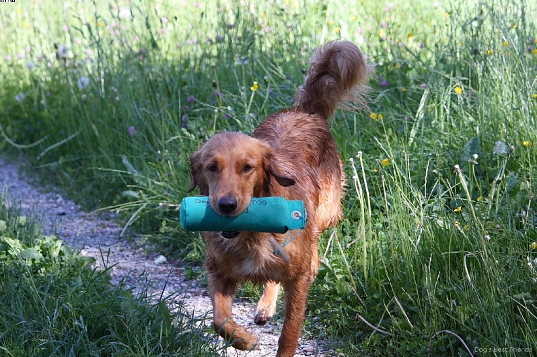 Img 1242913051 580 lg opt