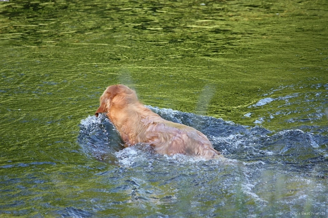 Img 1242913092 643 lg opt